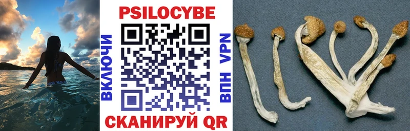 Псилоцибиновые грибы Cubensis  Ульяновск 